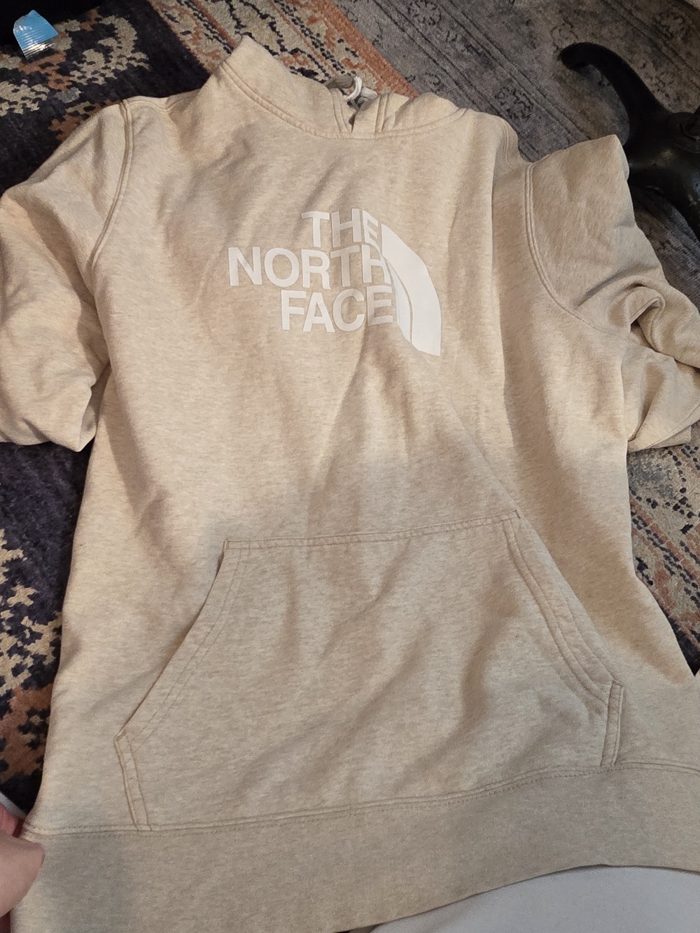 The North Face men Cream Hoodie Sweatshirt